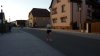 Hauptlauf_2025